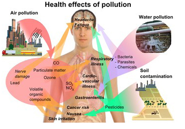 ENVIRONMENTAL Pic 1